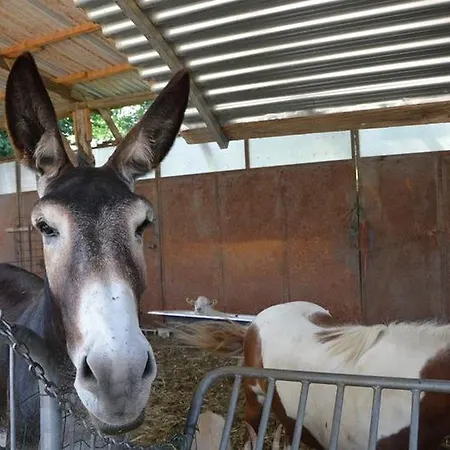 Cascina Scola ريفولي