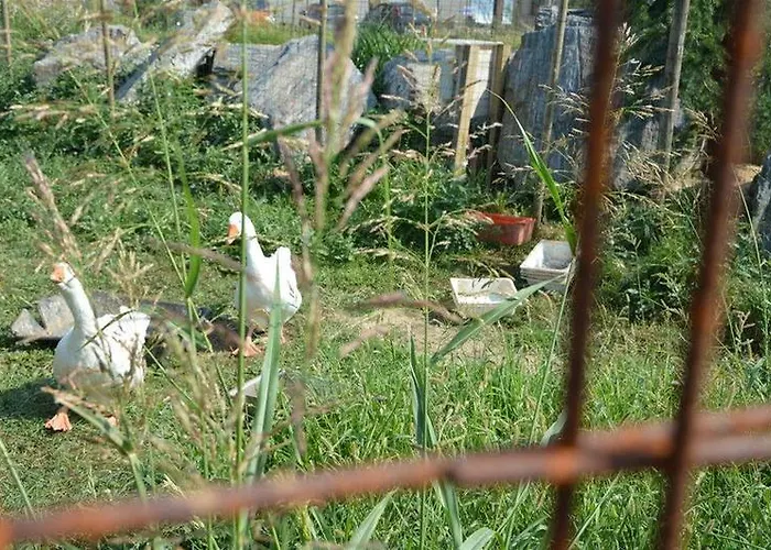 Cascina Scola 2*