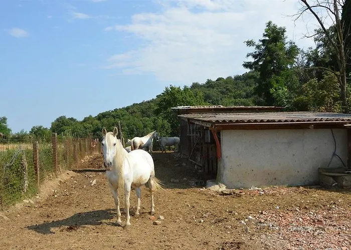 מלון Cascina Scola ריבולי