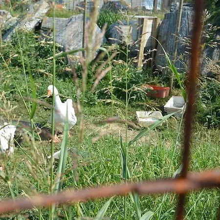Cascina Scola 2*