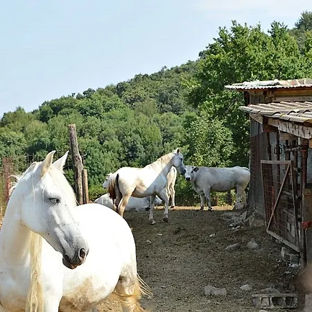 호텔 Cascina Scola