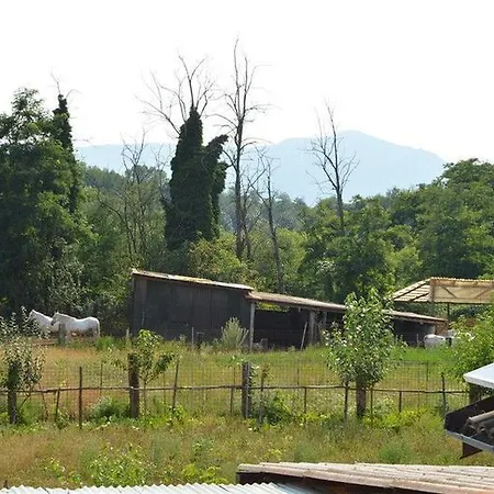Cascina Scola 호텔 리볼리