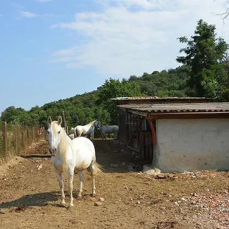 호텔 Cascina Scola 리볼리